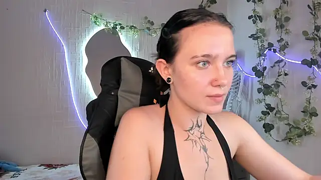 Elastikisss webcam