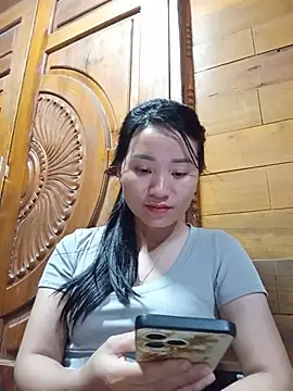 Td3di webcam