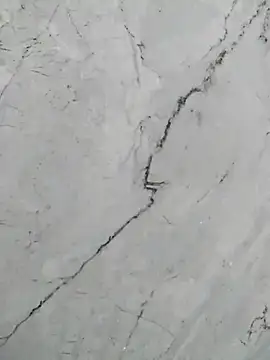 Bunny3095 webcam