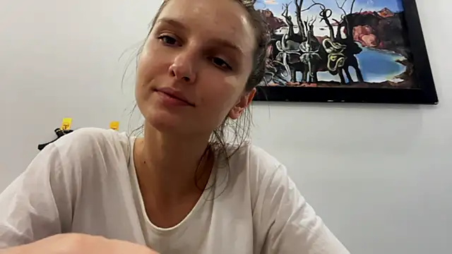 VanMendrin webcam