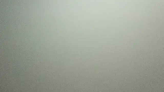 Lovyourpuss webcam