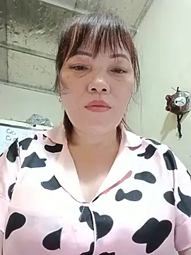 Sana-vn webcam