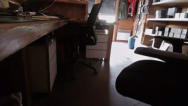 Cygnus58topchef webcam