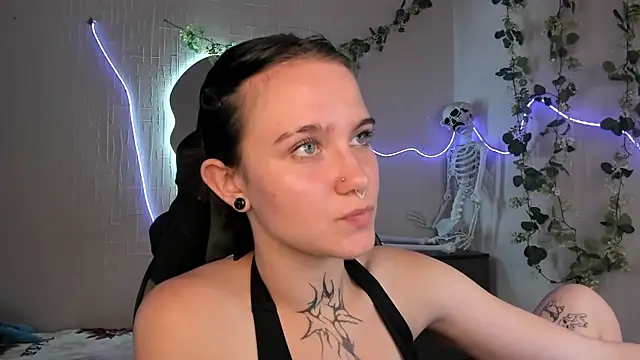 Elastikisss webcam