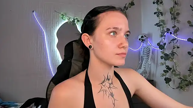 Elastikisss webcam