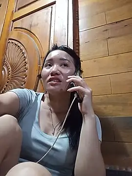 Td3di webcam