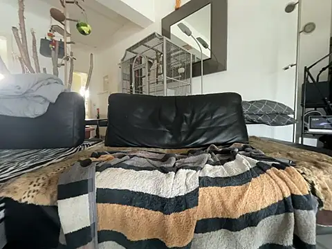 Germankink webcam