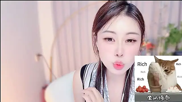 CC-777888 webcam