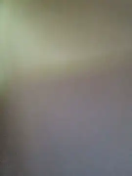 misa_00 webcam