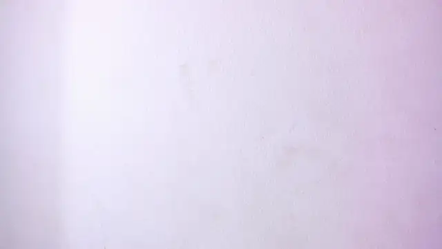 Mia_Tailor_Bms webcam