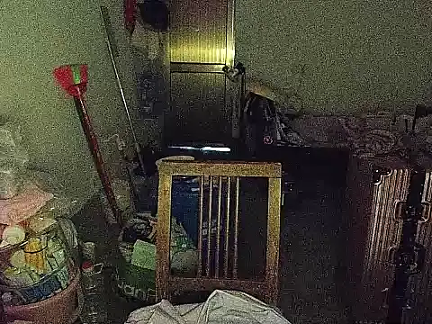 RebelAura webcam