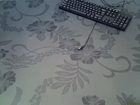 Avha1523 webcam