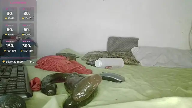 canarito18 webcam