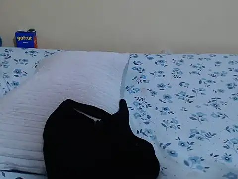 lynnsee webcam