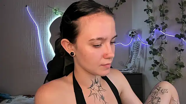 Elastikisss webcam