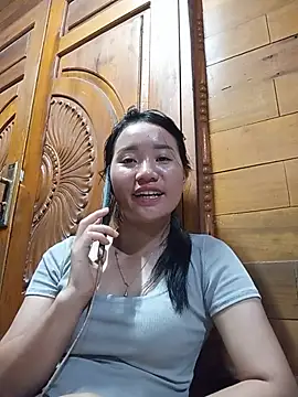 Td3di webcam