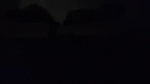 ZeldaSneakyLink webcam