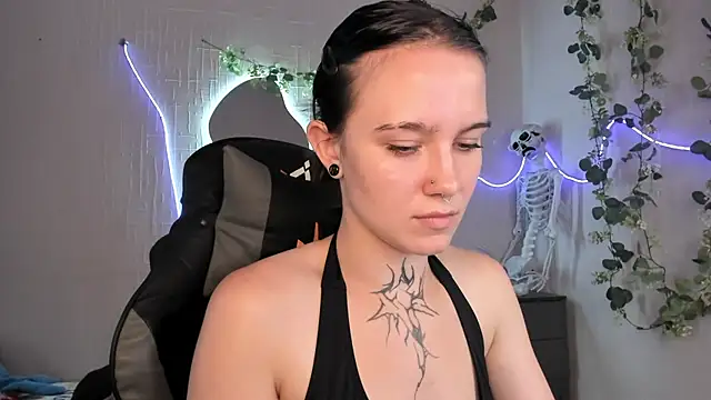 Elastikisss webcam