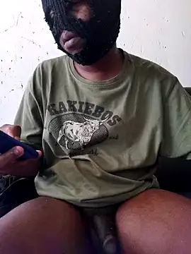 Thaps_deDick webcam