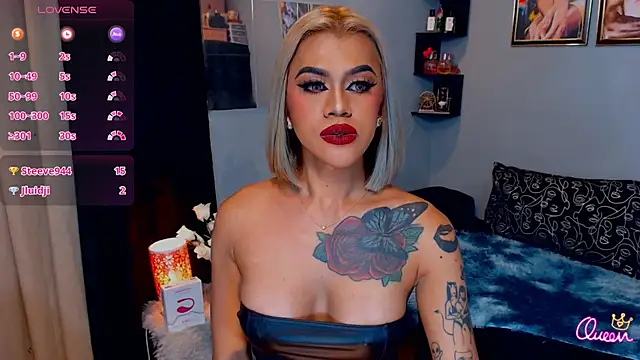 StellaStrong30 webcam