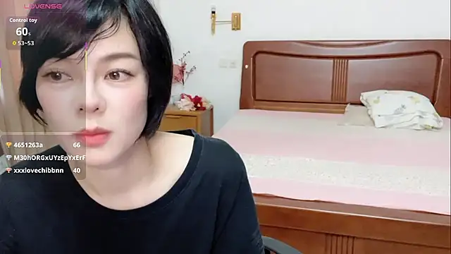 Linda-LL webcam