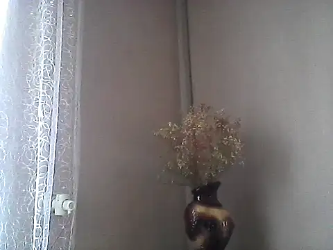 Littlecatme webcam