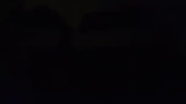ZeldaSneakyLink webcam