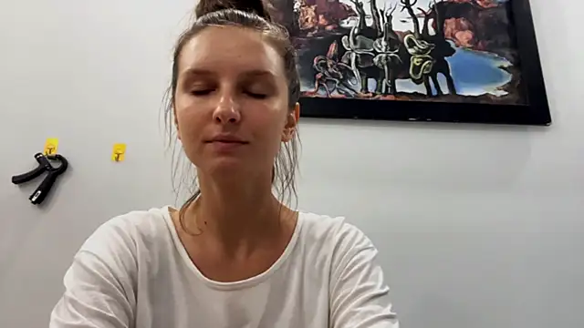 VanMendrin webcam