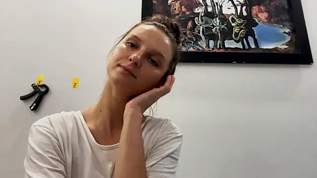 VanMendrin webcam