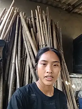 Hoa-tuylip