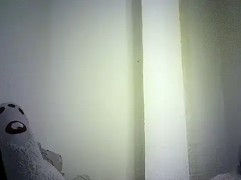 DelteAfriq webcam