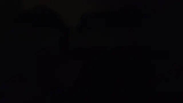 ZeldaSneakyLink webcam