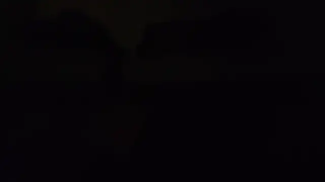ZeldaSneakyLink webcam