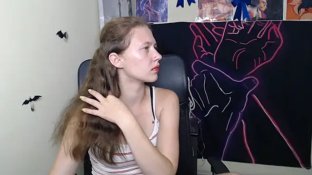 StellaCRL webcam