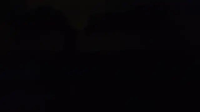 ZeldaSneakyLink webcam