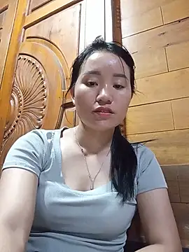 Td3di webcam