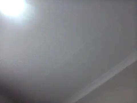 bogbosdick webcam
