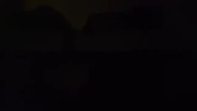 ZeldaSneakyLink webcam