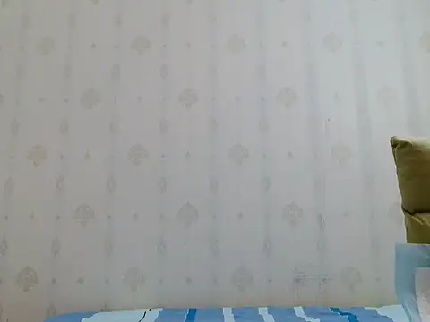 coco-LL webcam