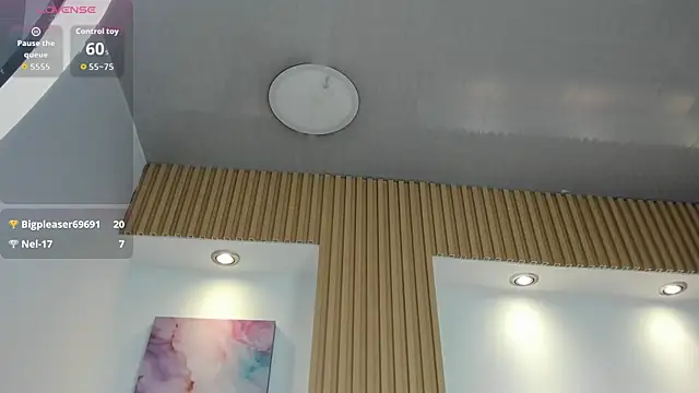 1Sloppy_Fox4 webcam