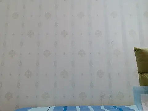 coco-LL webcam