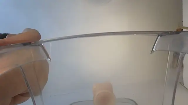 TopsyWilde webcam