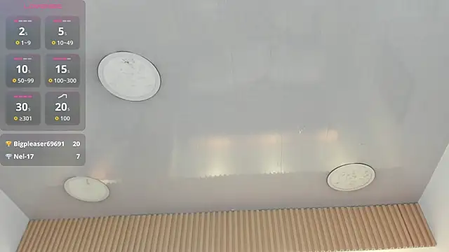 1Sloppy_Fox4 webcam
