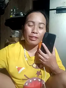 phuongtrinh1 webcam