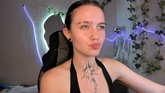 Elastikisss webcam