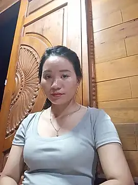 Td3di webcam