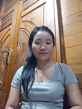 Td3di webcam