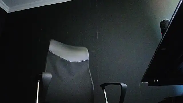 FelixStarkk webcam
