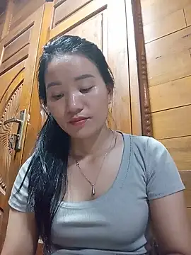 Td3di webcam