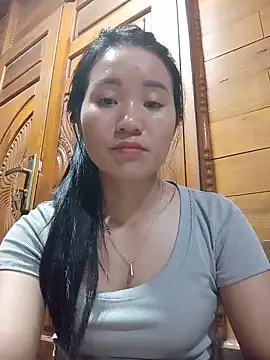Td3di webcam